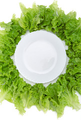Close up of empty plate and lettuce around, isolated on white 