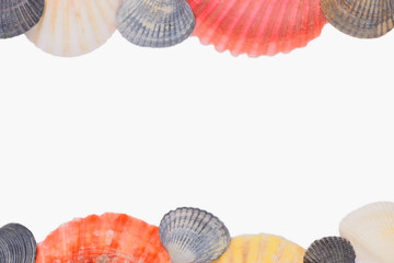 Sea shells