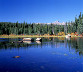 Fototapeta na wymiar Beautiful forest reflecting on calm lake shore at indian Peak