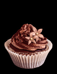 Chocolate cupcake with sugar flowers. Isolated on black
