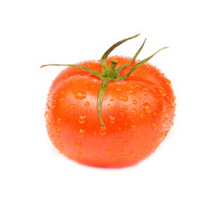 Tomato  isolated on white background