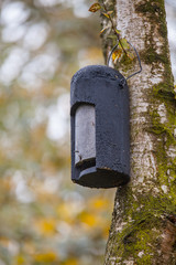 Ecological Gardening Batbox