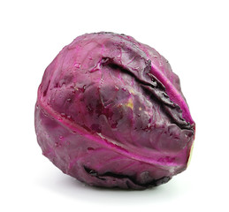 Fototapeta premium red cabbage on white background