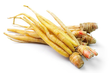 Fingerroot, Kaempfer, Boesenbergia on white background