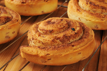Fresh baked cinnamon rolls