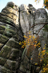 Formations caused by karst phenomena.