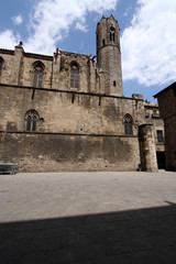 Fototapeta na wymiar La Seu cathedral in Barcelona, Spain