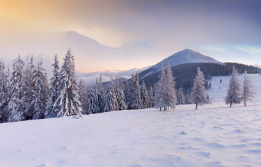 Fototapeta na wymiar Colorful winter sunrise in the mountains.
