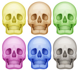 Colorful skulls