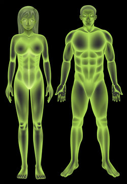 Male and female human body