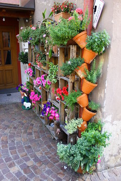Trautes Heim