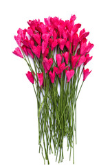 handicraft paper flower