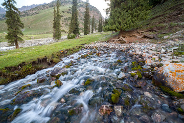 Amazing spring in Tien Shan mountains