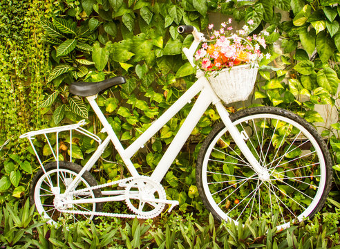 Bicycle in the garden