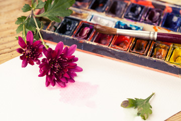 Watercolor paint box, flowers and brushes for painting