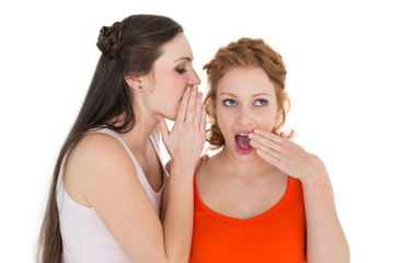 Two young female friends gossiping