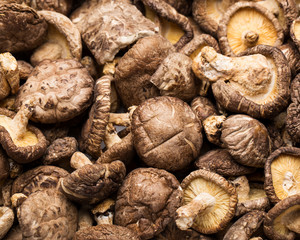 Dried mushrooms