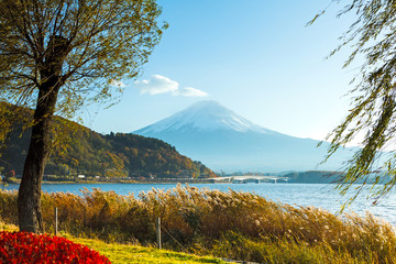 Fototapety  Mt. Fuji jesienią