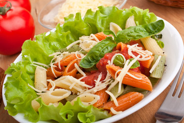 serving of colored penne pasta with tomato sauce and basil