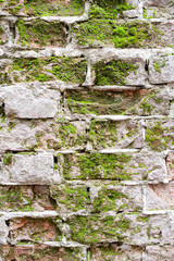Brick Wall with Moss