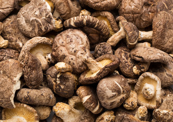 Dried mushrooms