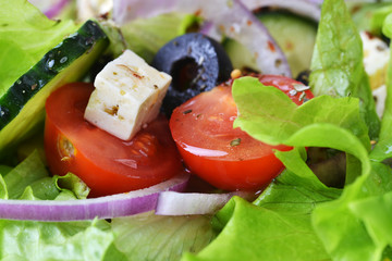 salad with fresh vegetables