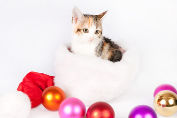 Kitten in a Santa hat and Christmas balls.