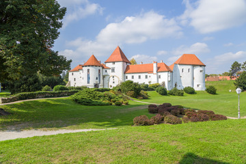 Fototapeta na wymiar Croatia. Castle of Varaždin62