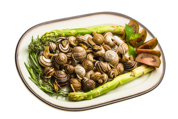 Escargot with asparagus, rosemary, thymus and tomato