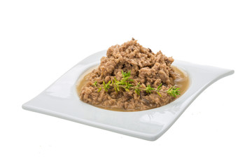 Canned Tuna fillet