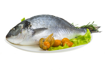 Raw dorado with herbs