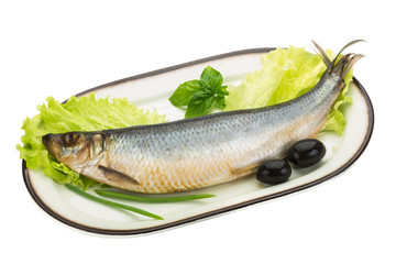 Salted Herring