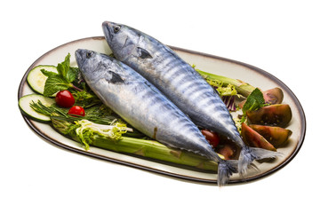 Fresh Atlanticmackerel