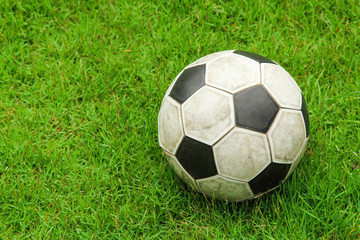 Fototapeta premium Green grass soccer field with ball