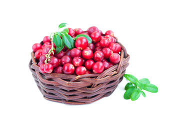 Fresh red cranberries