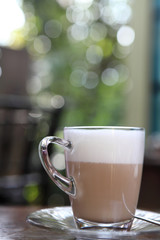coffee in nature
