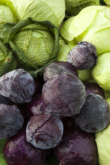 Fototapeta na wymiar Fresh organic red and green cabbage