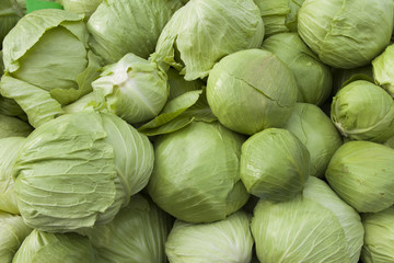 Fototapeta na wymiar Fresh organic green cabbage on sunny Mediterranean market