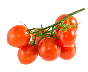 Tomatoes