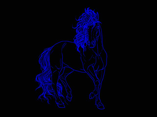 Blue horse.