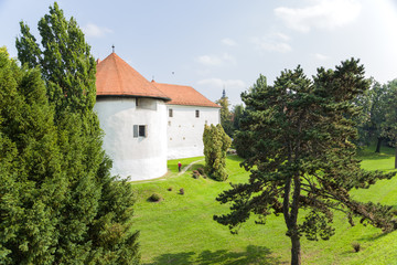 Fototapeta na wymiar Croatia. Castle of Varaždin9
