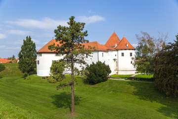 Fototapeta na wymiar Croatia. Castle of Varaždin14