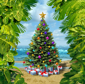 Christmas Tree Beach Celebration