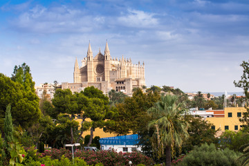 Fototapeta na wymiar Historical Center of Palma de Mallorca