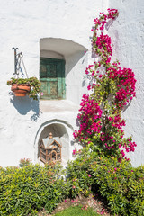 Fototapeta na wymiar closed window and open birdcage in Santa Catalina monastery Areq