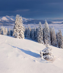 Naklejka premium Beautiful winter landscape in the mountains