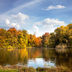 Fototapeta na wymiar Park in Autumn. The bright colors of autumn in the park by the l