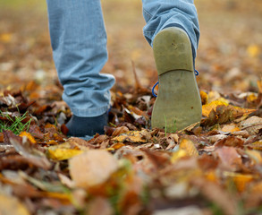 Shoes walking on autumn leaves from rear