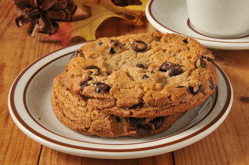 Gourmet chocolate chip cookies