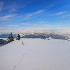 winter landscape